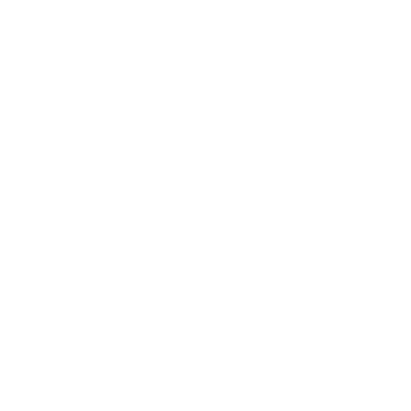 Prime Focus World logo
