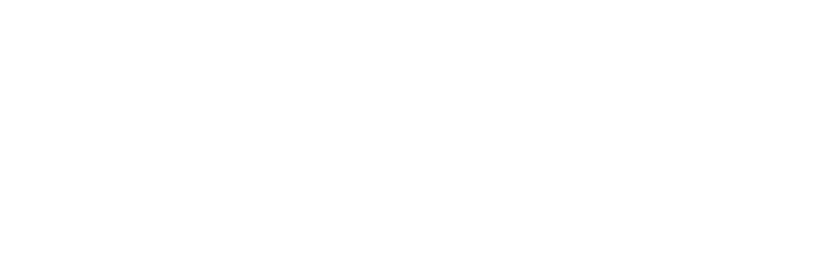 Spin VFX logo